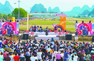 金色稻浪里奏響田園樂章